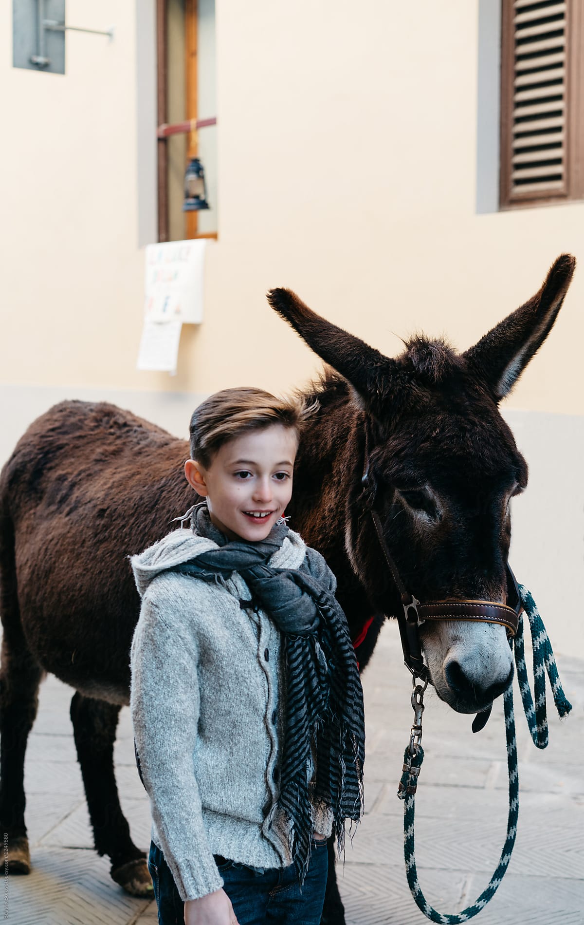 Boy next to a Donkey in the city