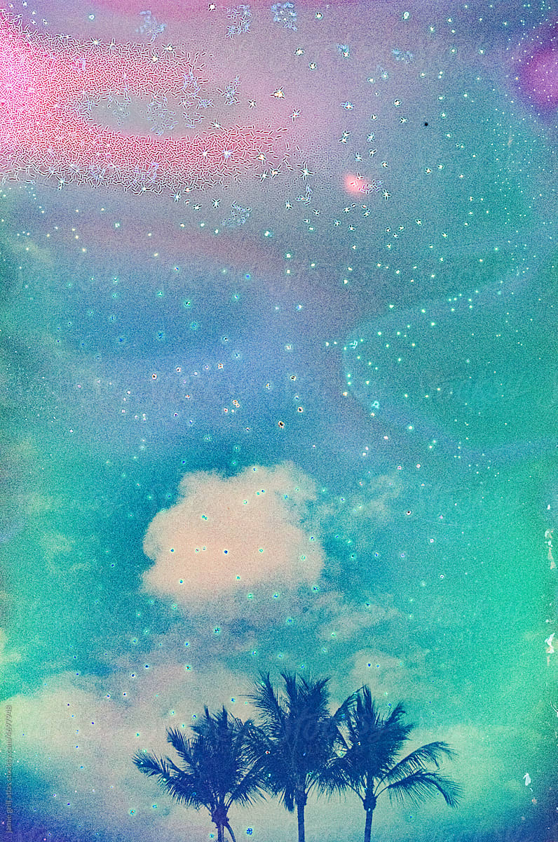 Analog Image of Palm Trees against a Dreamy Sky