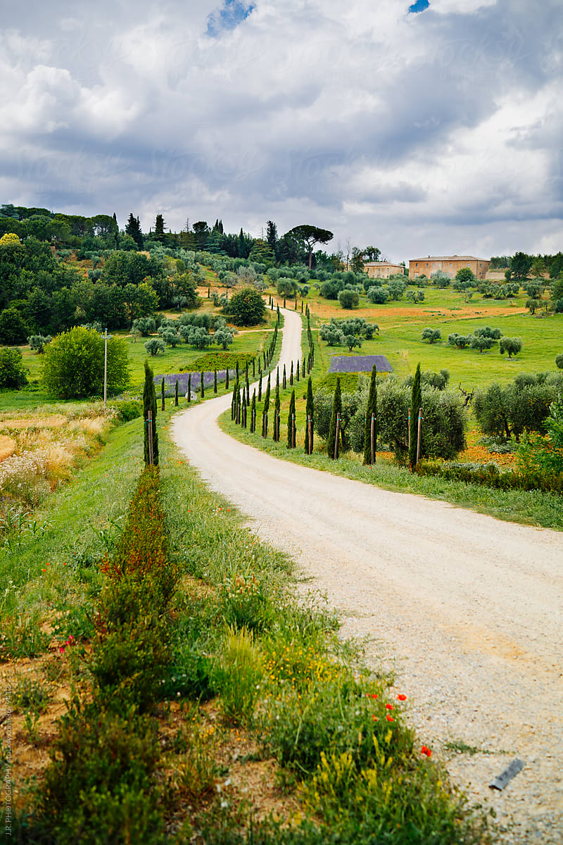 Panorama view of a Farm with path and cypresses in Tuscany