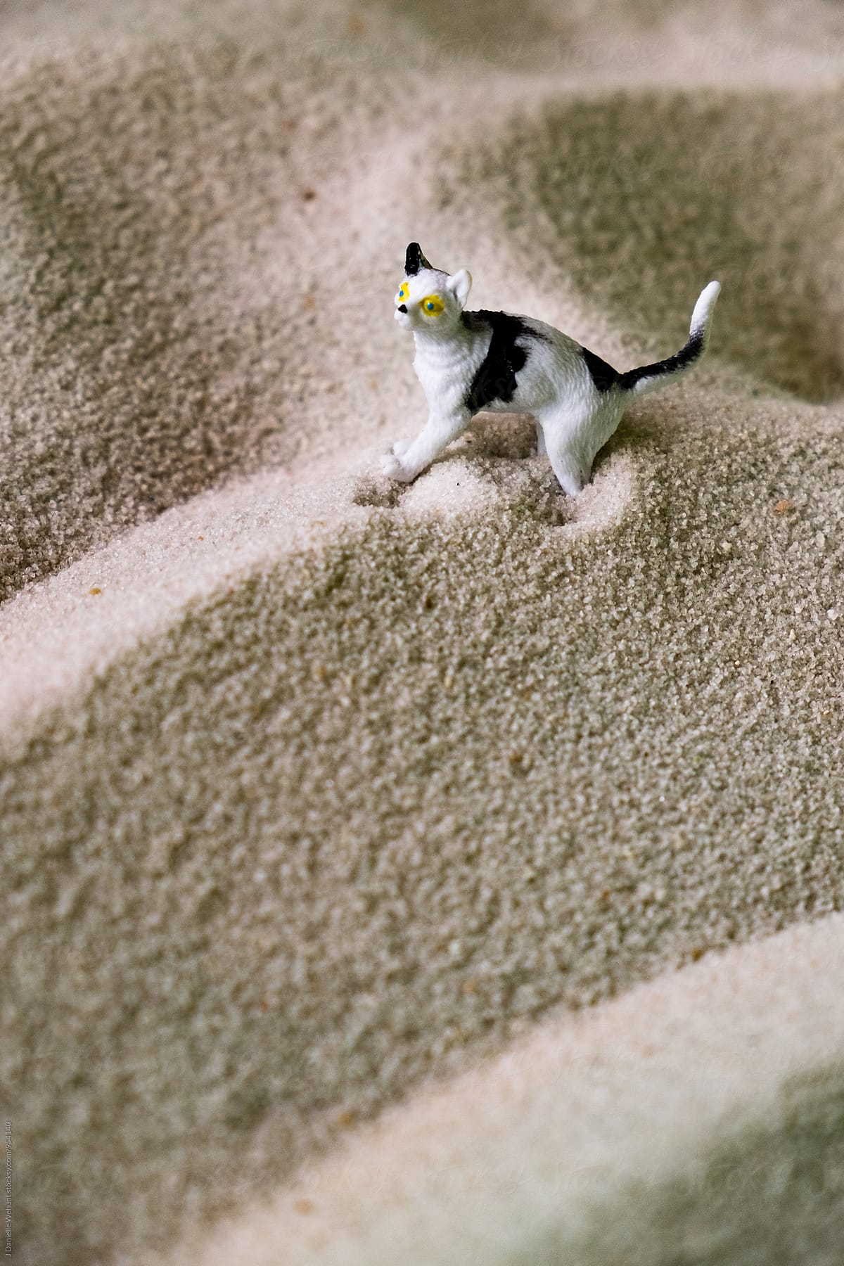 Miniature Plastic Toy Cat in sand