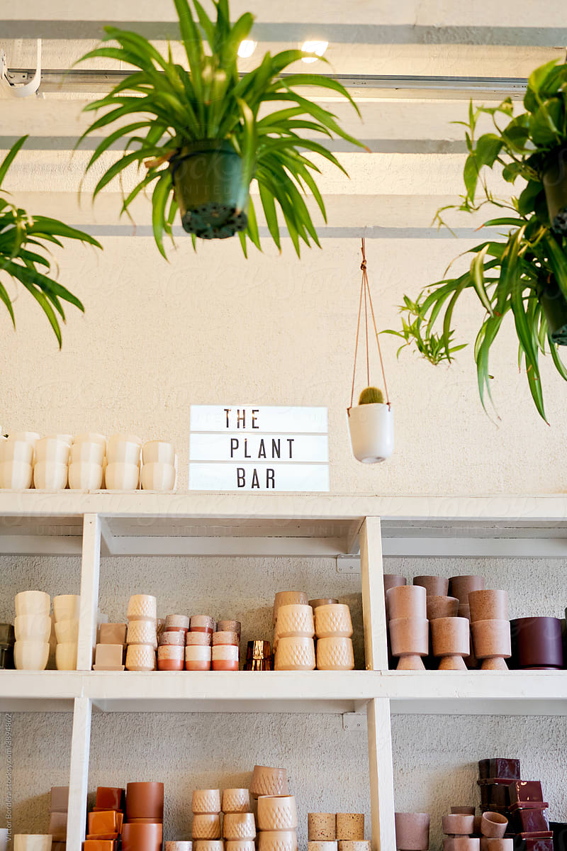 plant bar