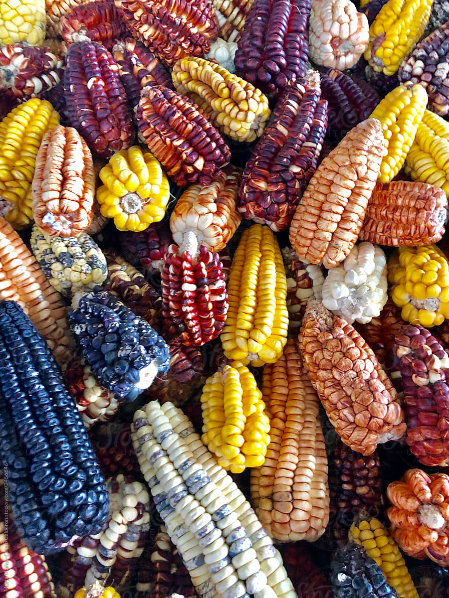 Corn from Peru