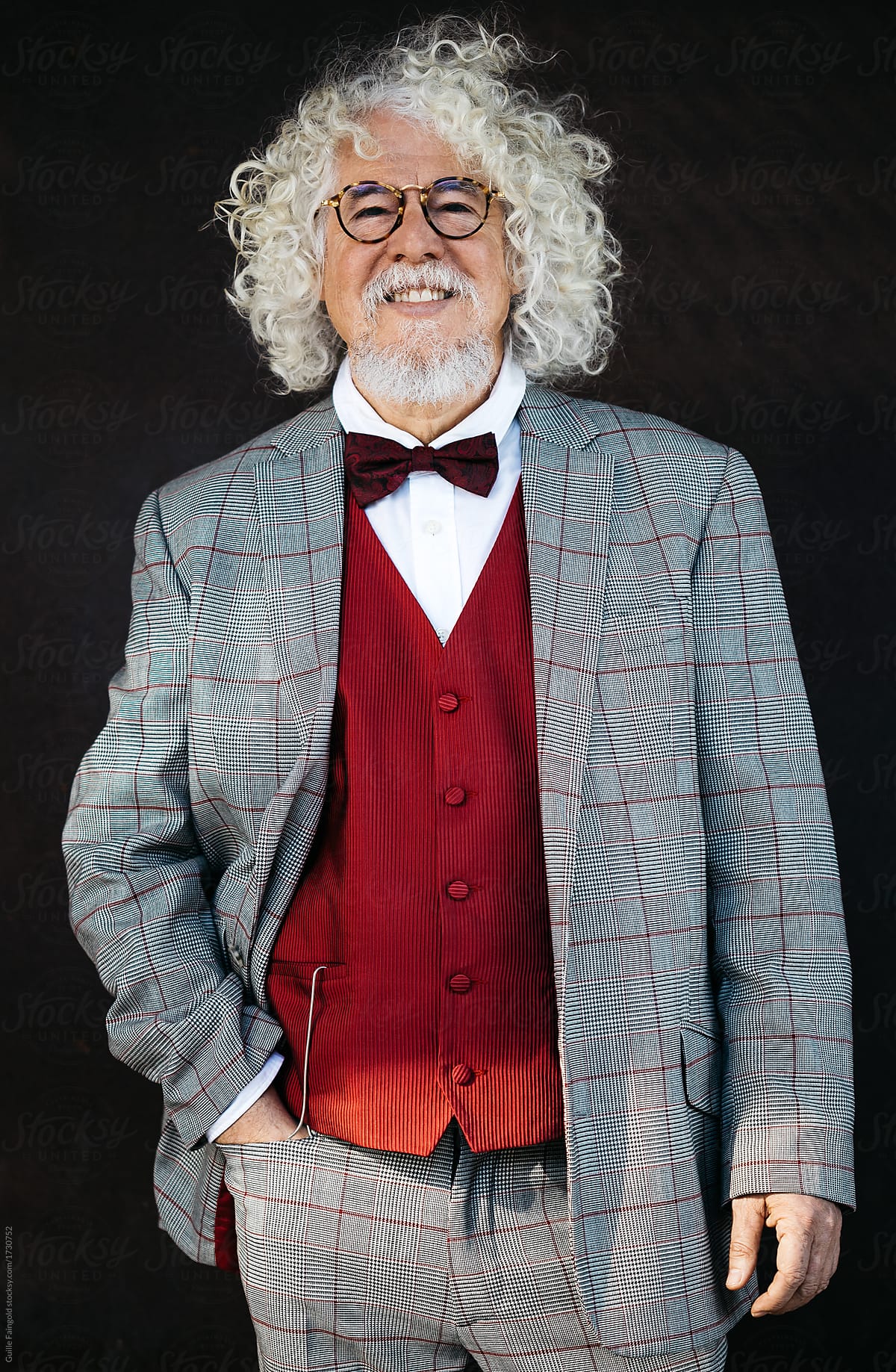 Successful elderly man in trendy suit and bow-tie.