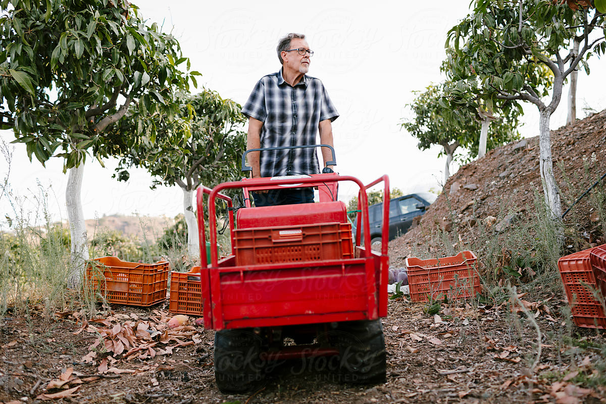 Man using a machine for transporting fruit boxes