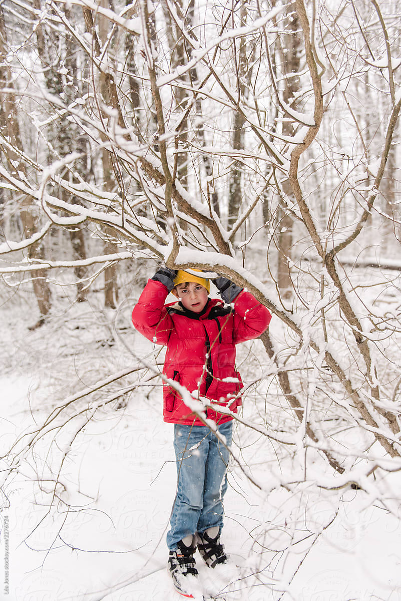 boy standing under a snowy tree