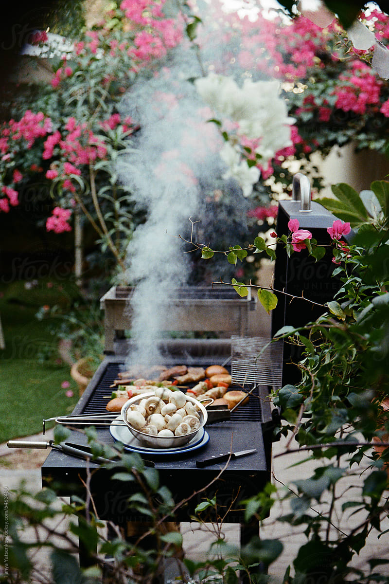 A barbecue in the garden