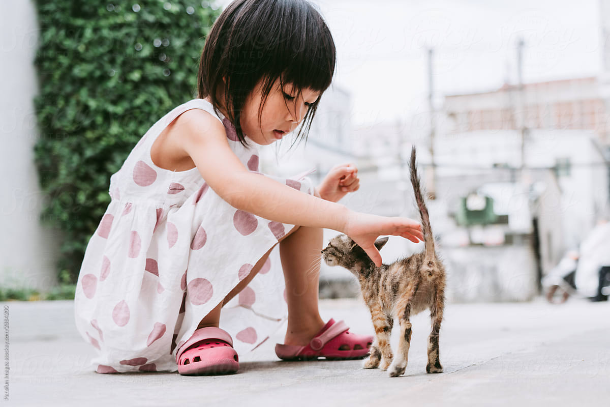 Asian little girl and sick stray cat