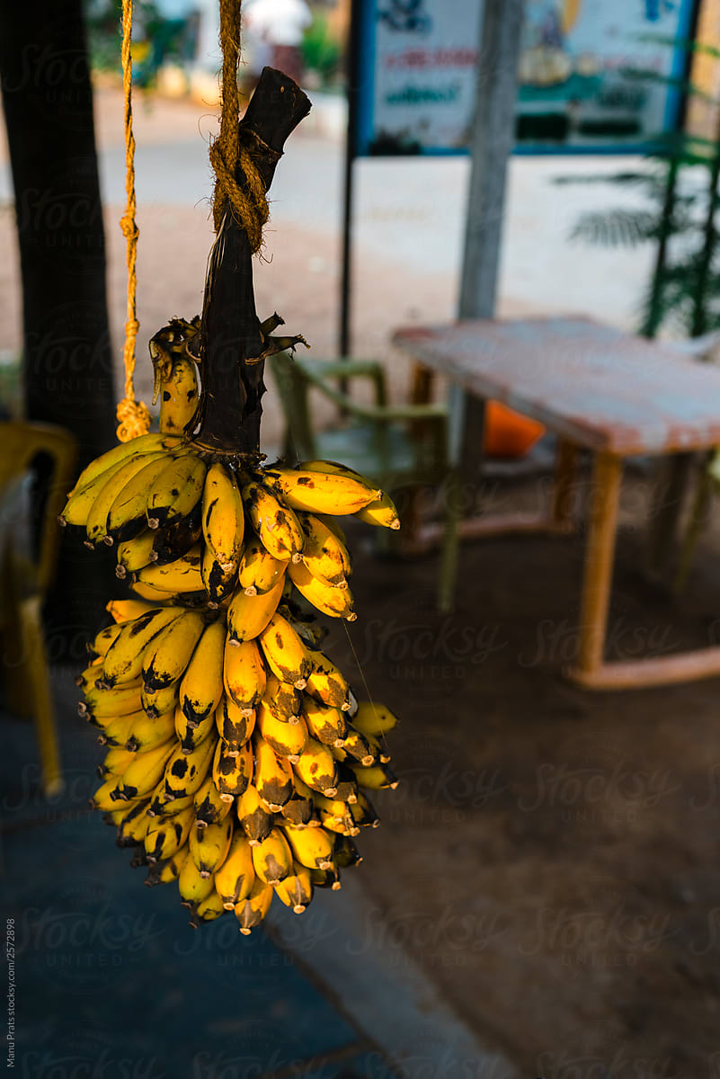 Raw yellow banana branch in the market