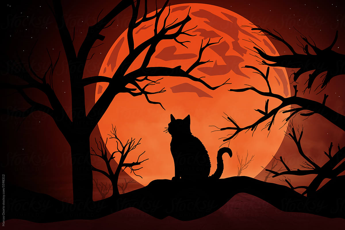 A cat sitting on a hill in front of a full moon