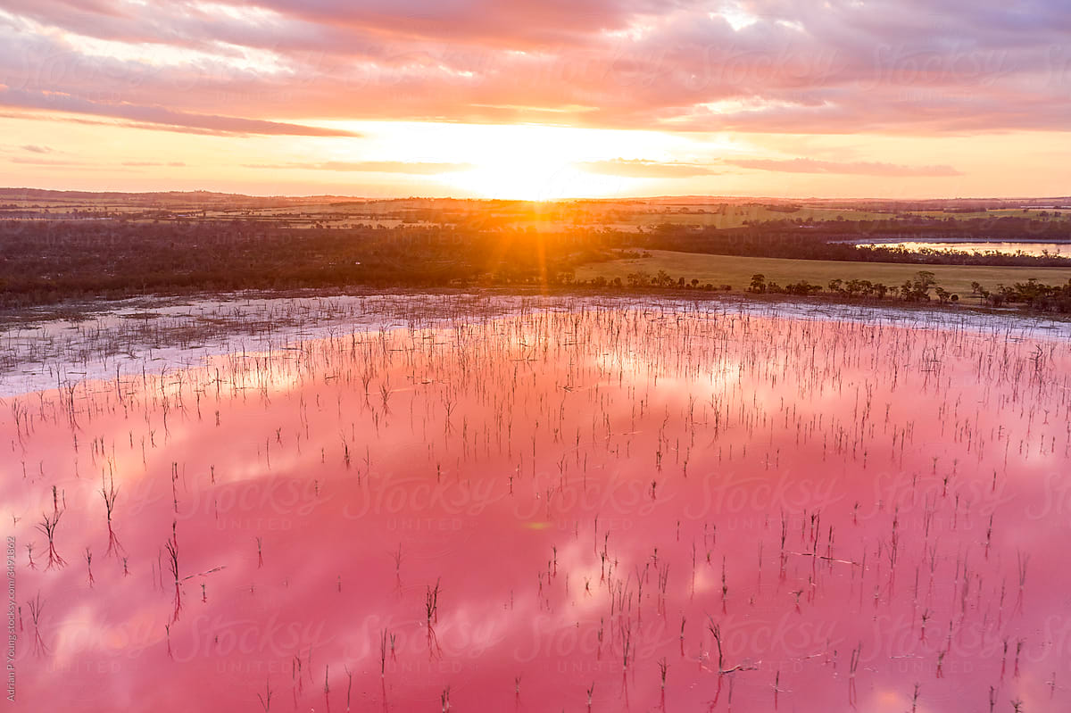 Pink Salt Lake At Sunset