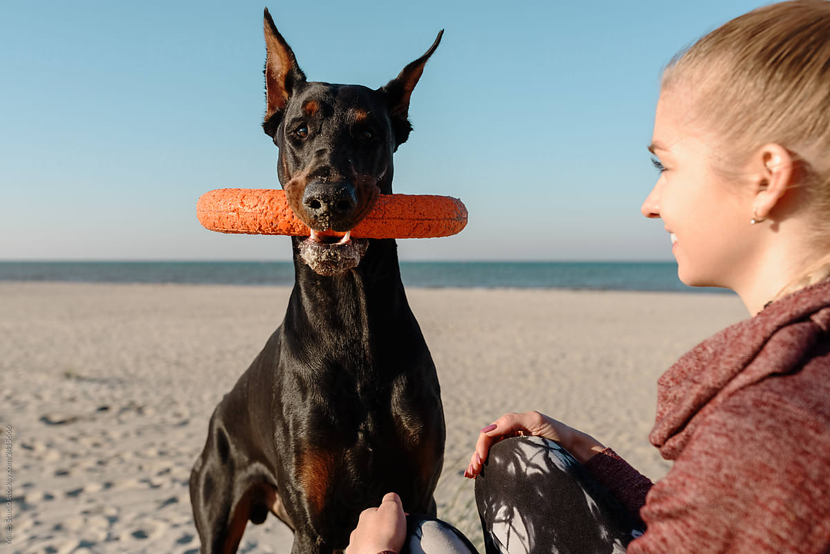Woman and playful Doberman with toy on beach
