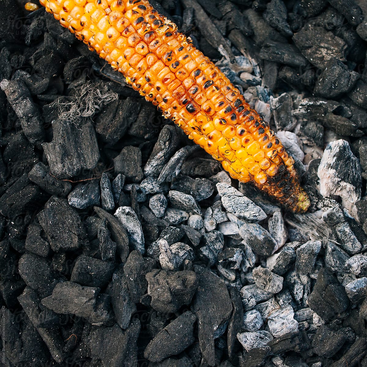 Hot barbecued corn on top of wood coals being sold in Asia.