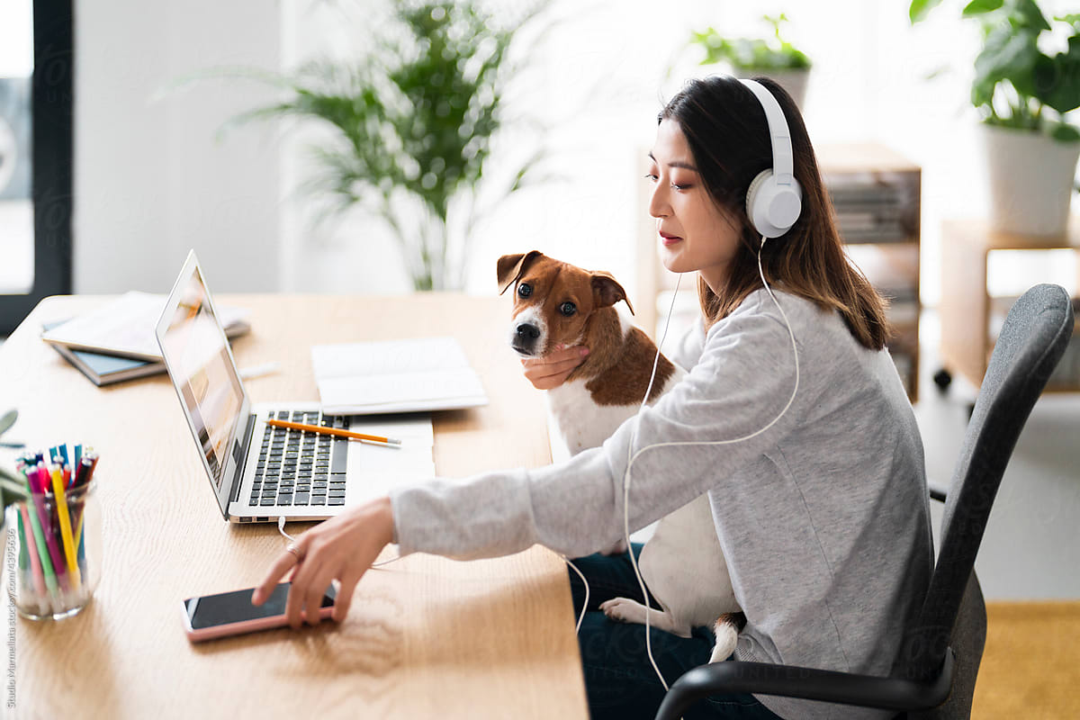 Asian woman with dog doing homework assignment