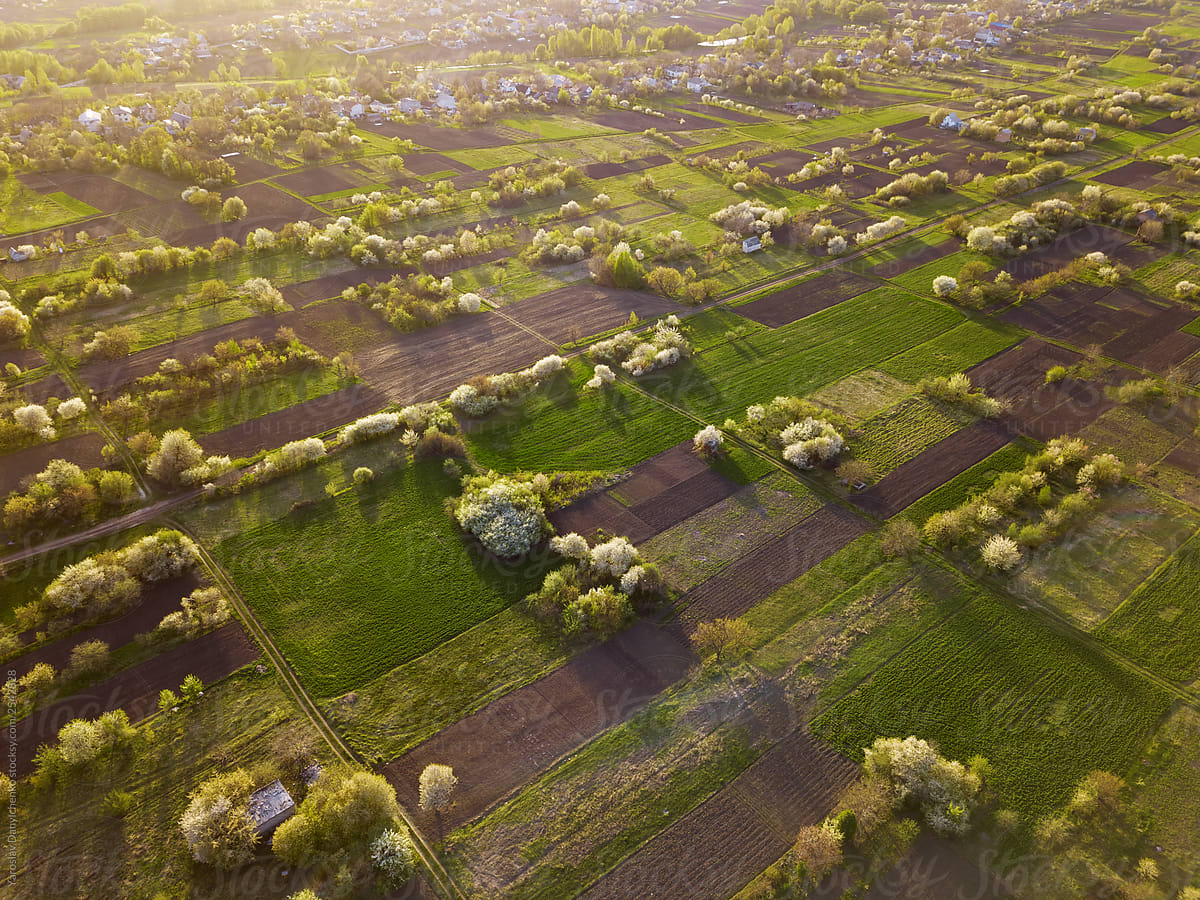 Aerial view from drone village and rural fields with villages at sunset.