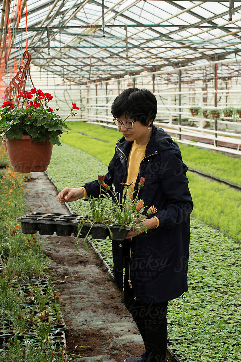 Asian woman in a greenhouse
