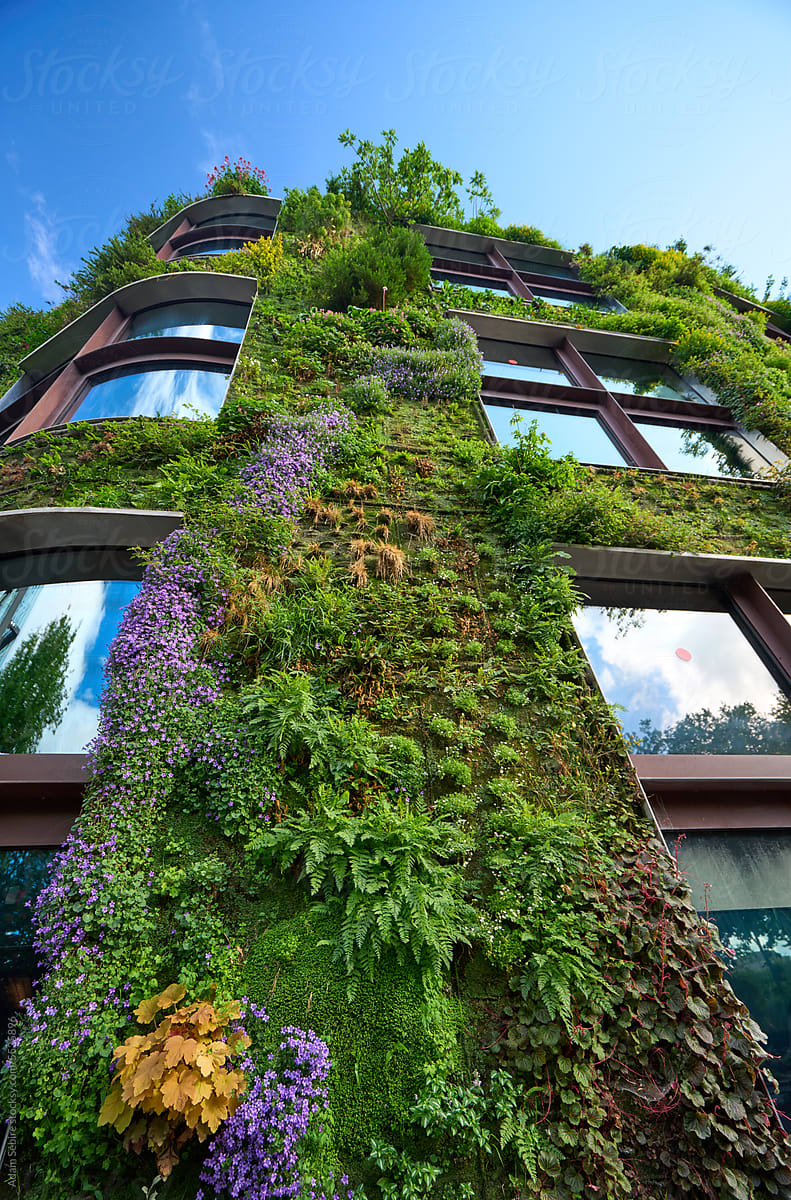 Plants cover building facade - green architecture, Paris