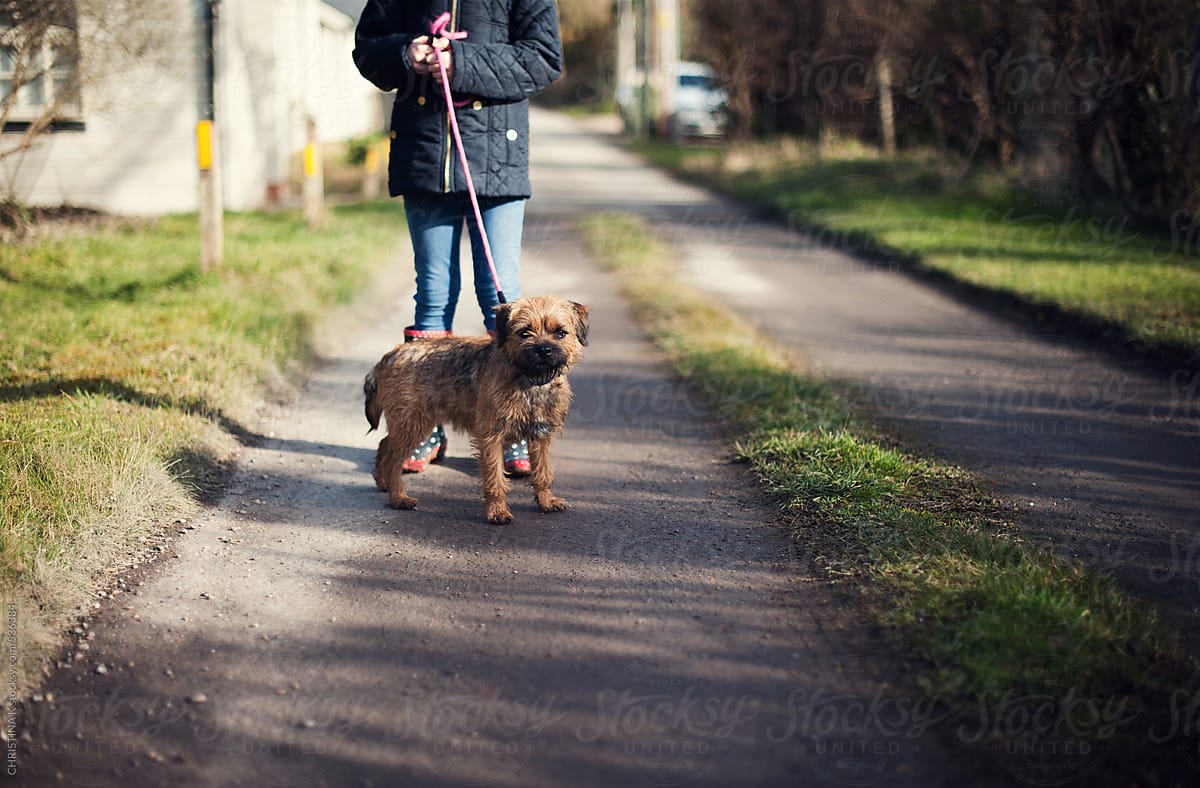 Child and her dog on a country lane