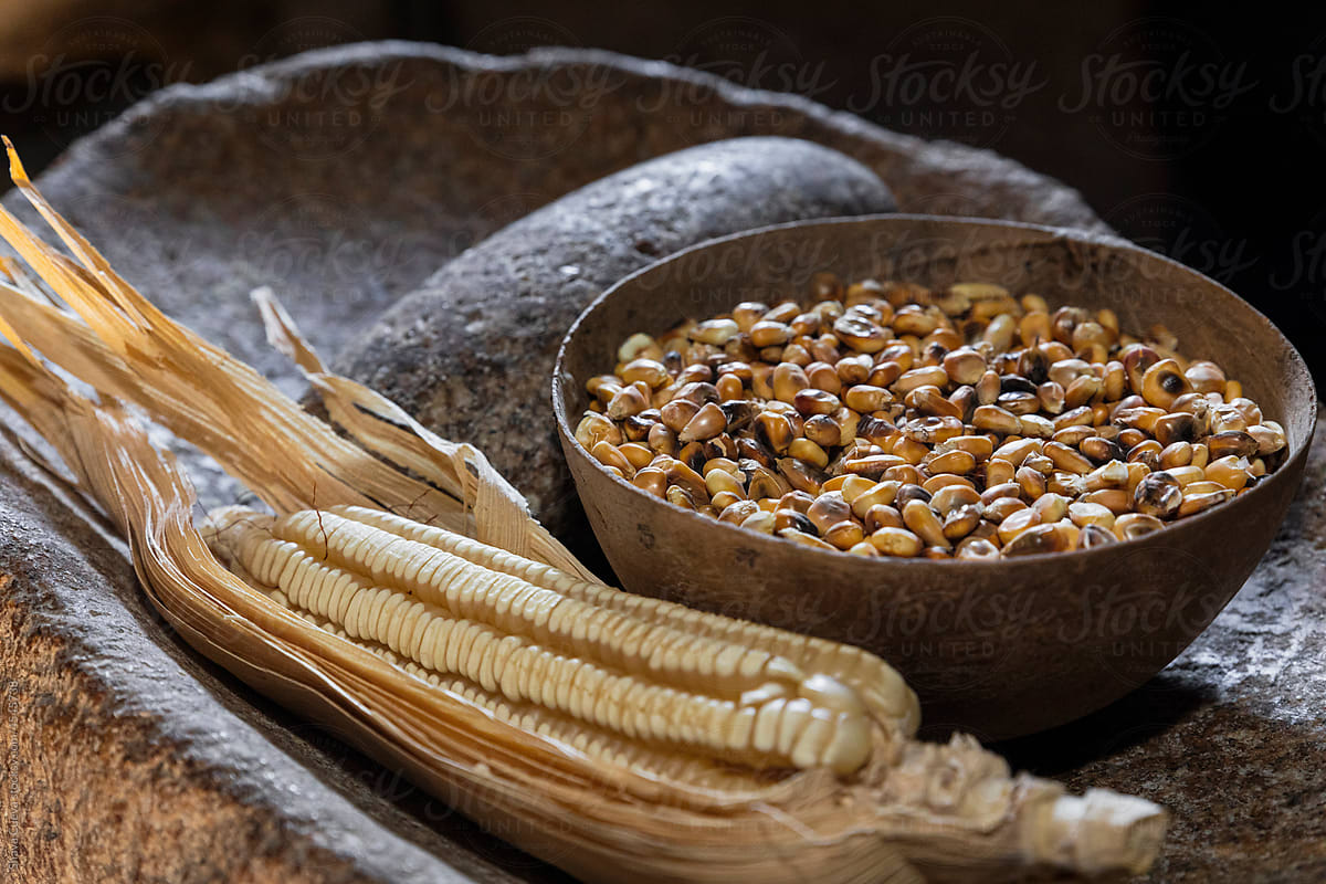 Corn with its leaf and a jícara with kernels on a metate