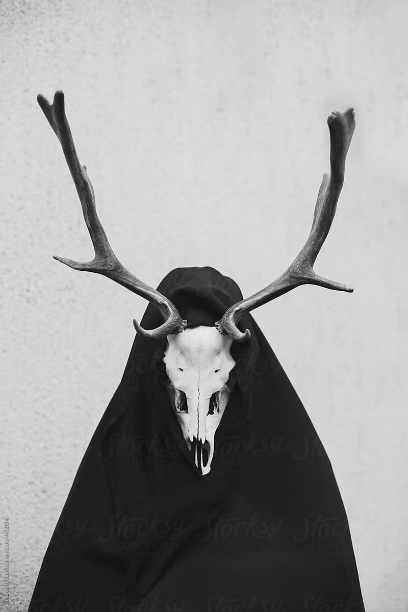 Portrait of a man wearing black cloak and deer buck skull