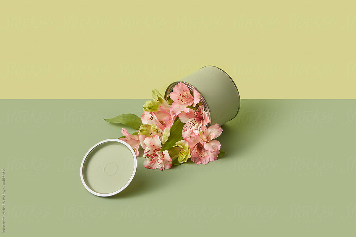 Spring flowers placed inside tin of green paint