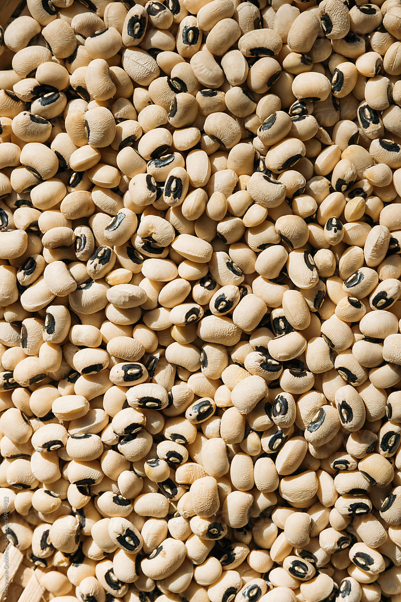 Black Eyed Peas Closeup Food Texture