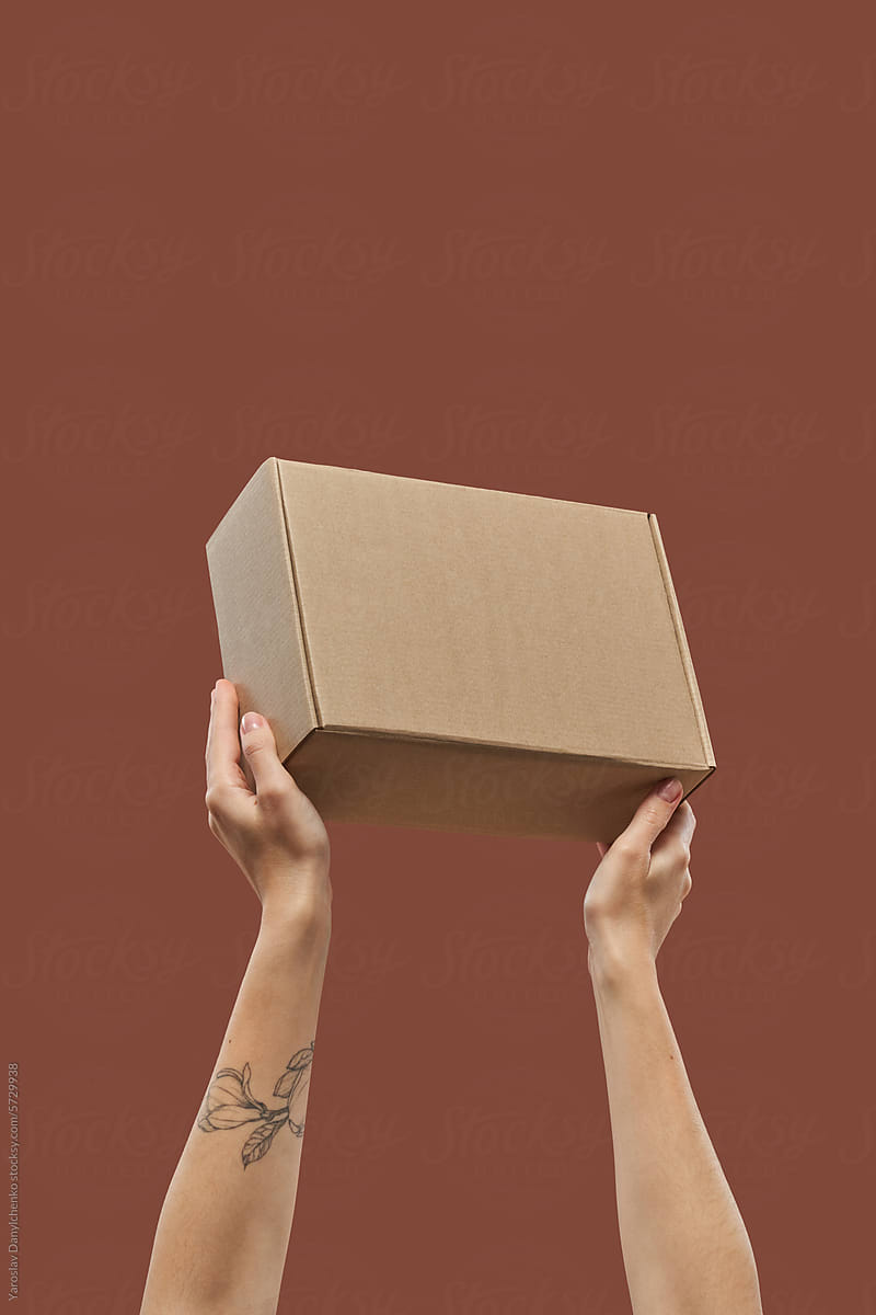 Cardboard closed box in woman\'s hands over brown background