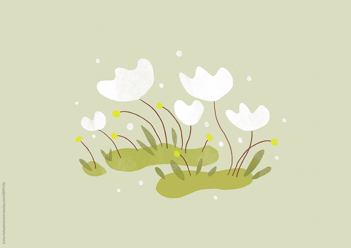 illustration with beautiful white flowers