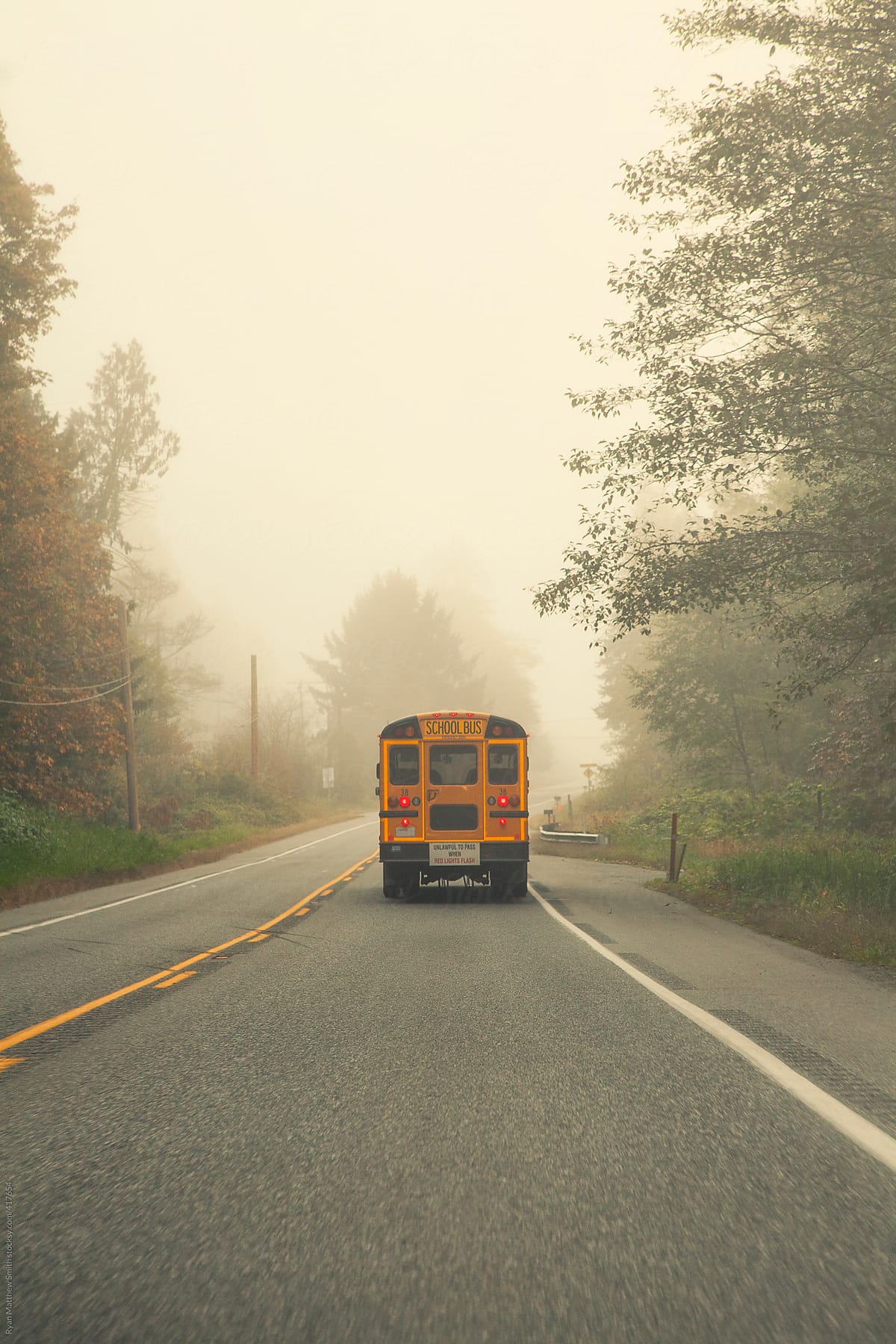 School Bus, Misty Country Morning