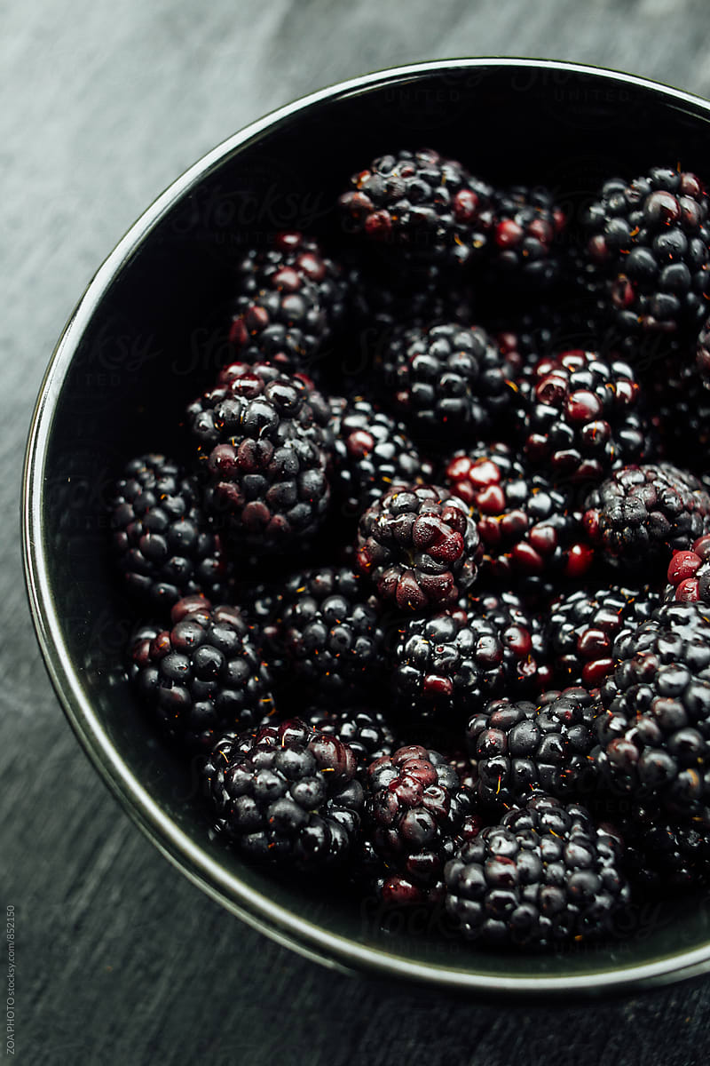 Bowl of blackberries