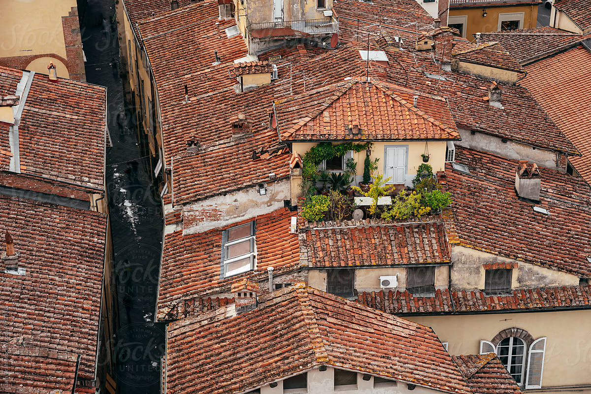 Street and rooftops in Lucca