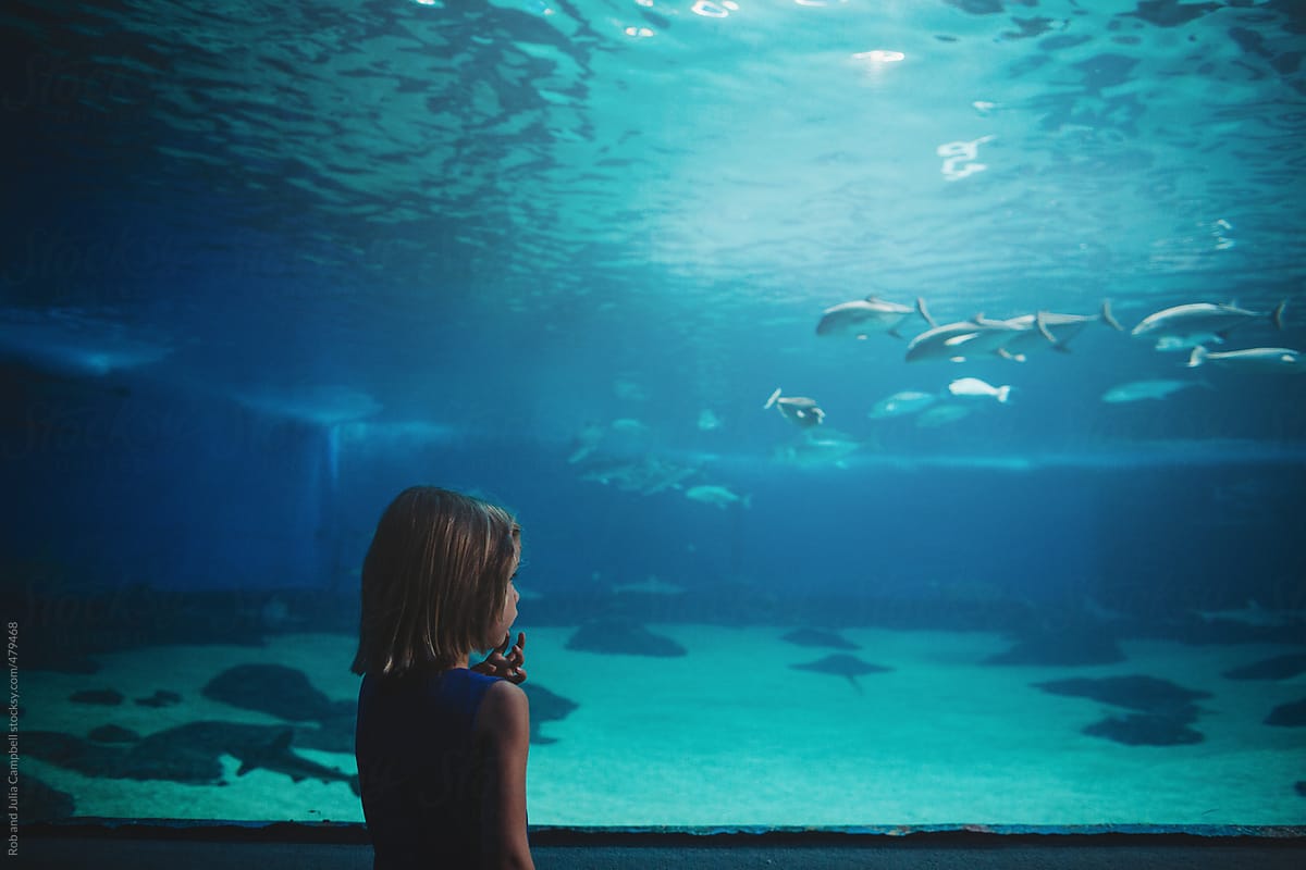 Young girl looking at fish aquarium tank