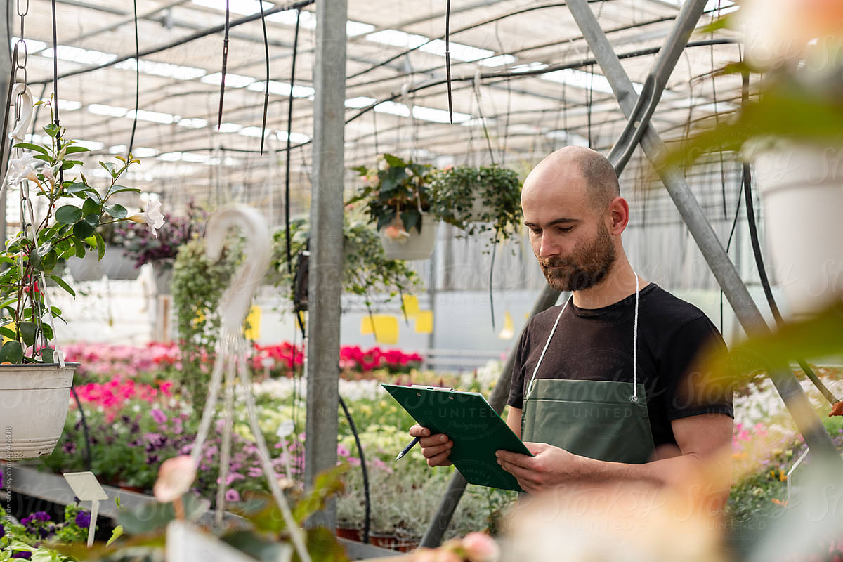 Florist with folder inside greenhouse, serious emotions