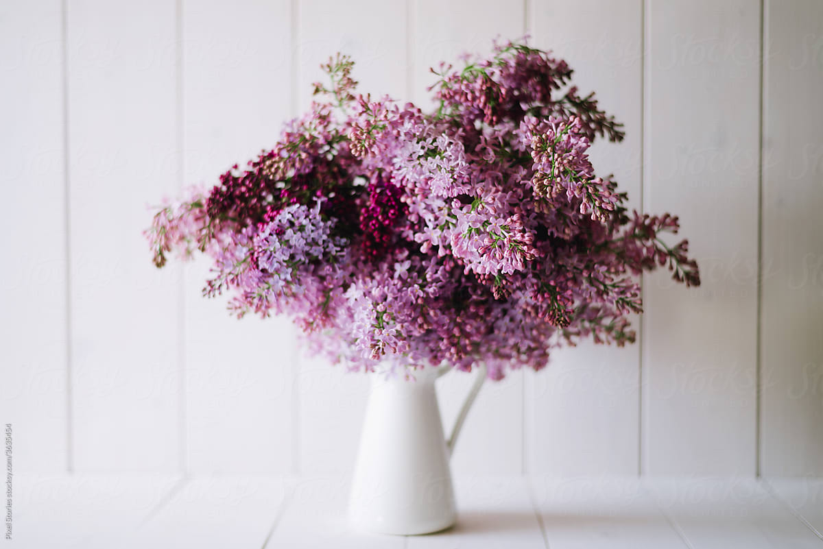 Lush lilac bouquet in white pitcher