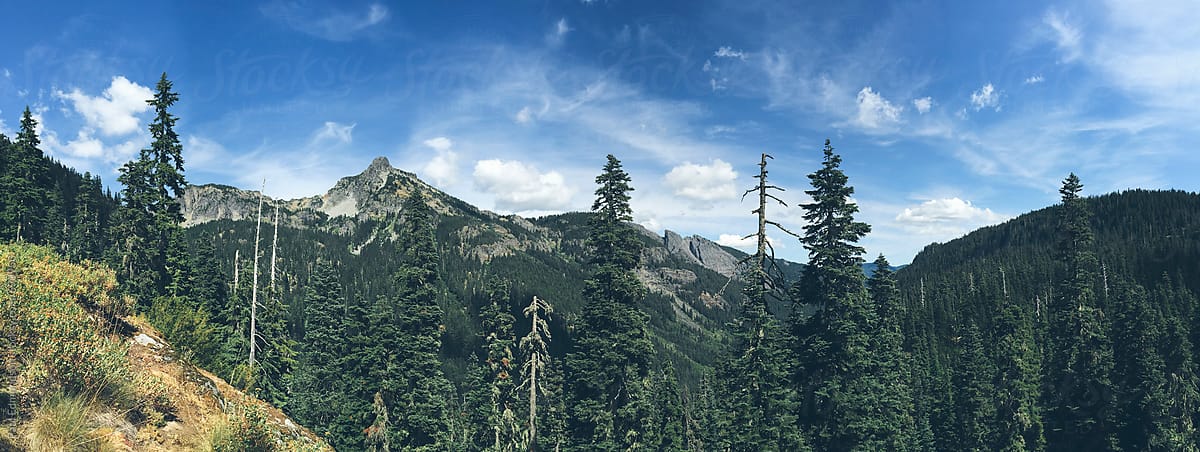 Mountains and forest in Alpine Lakes Wilderness, WA