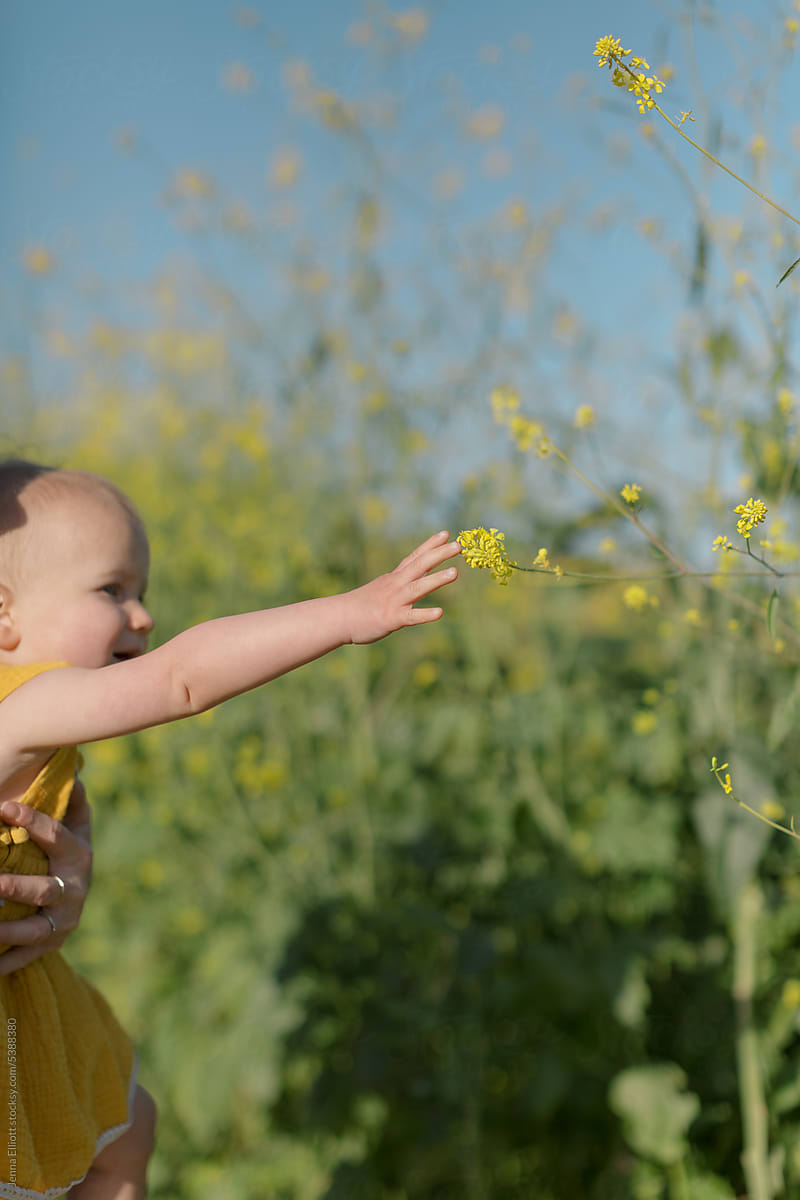 Little Girl Reaches for Wildflower