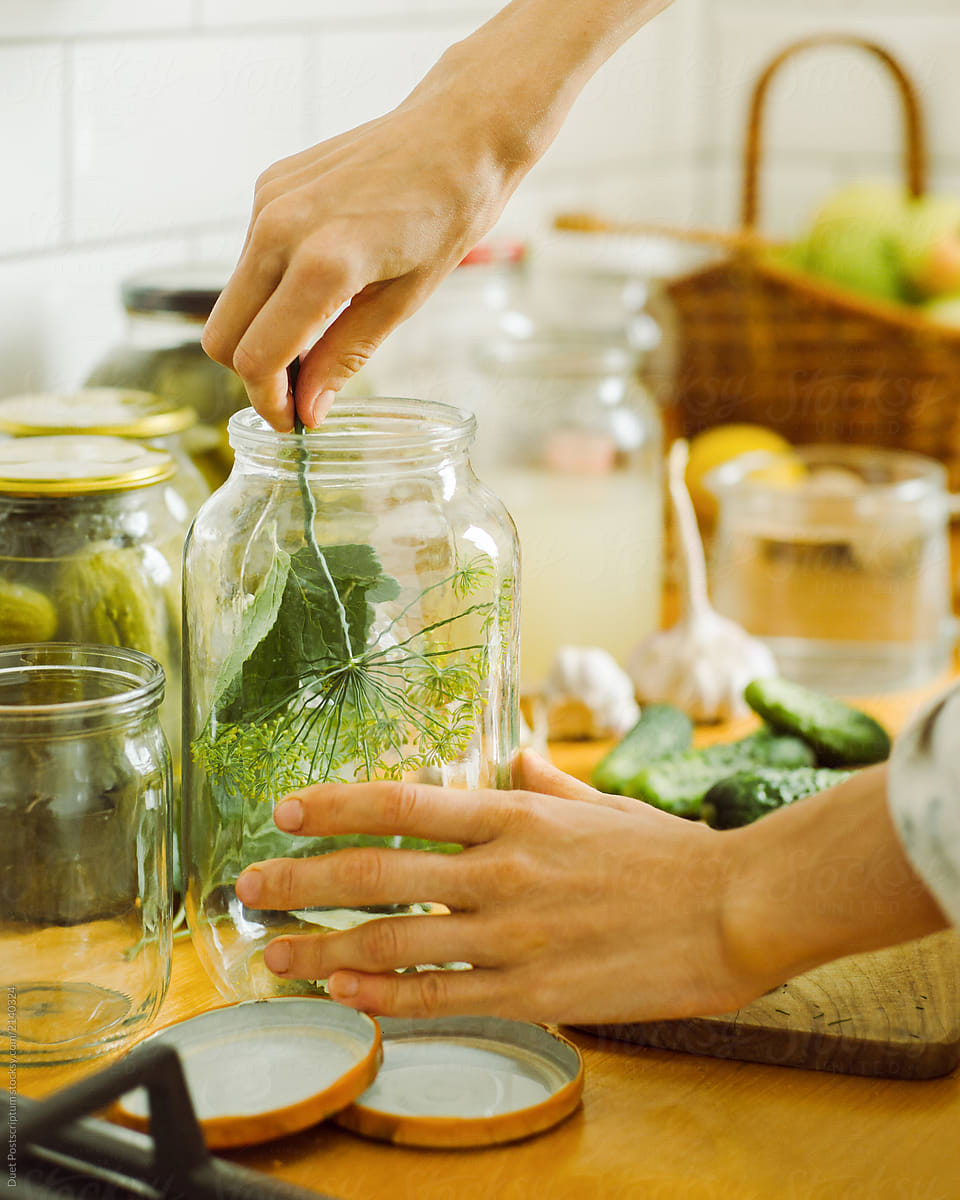 Close Up Of Womans Hand Puts Dill In A Jar For Pickling Del Colaborador De Stocksy Duet 3867