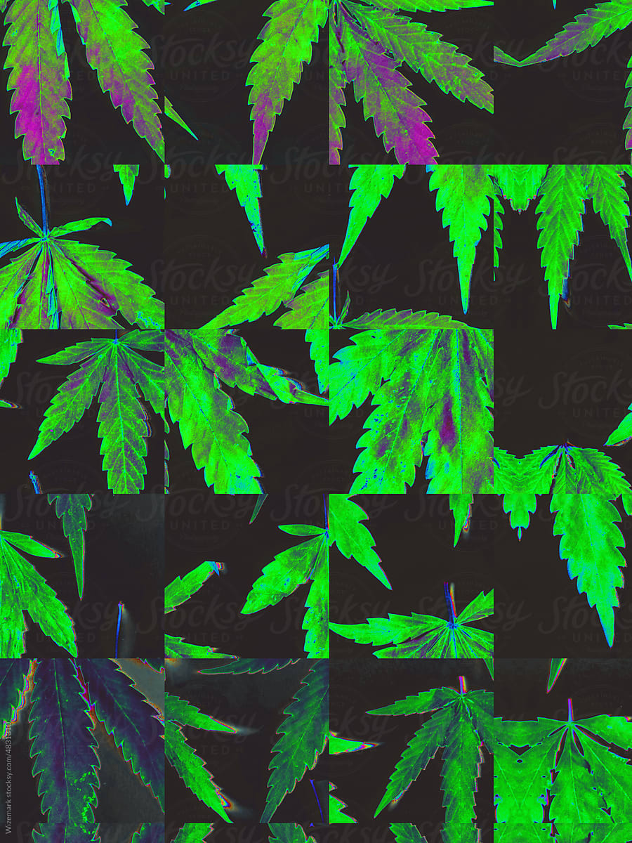Divided and glitched marijuana, cannabis leafs background