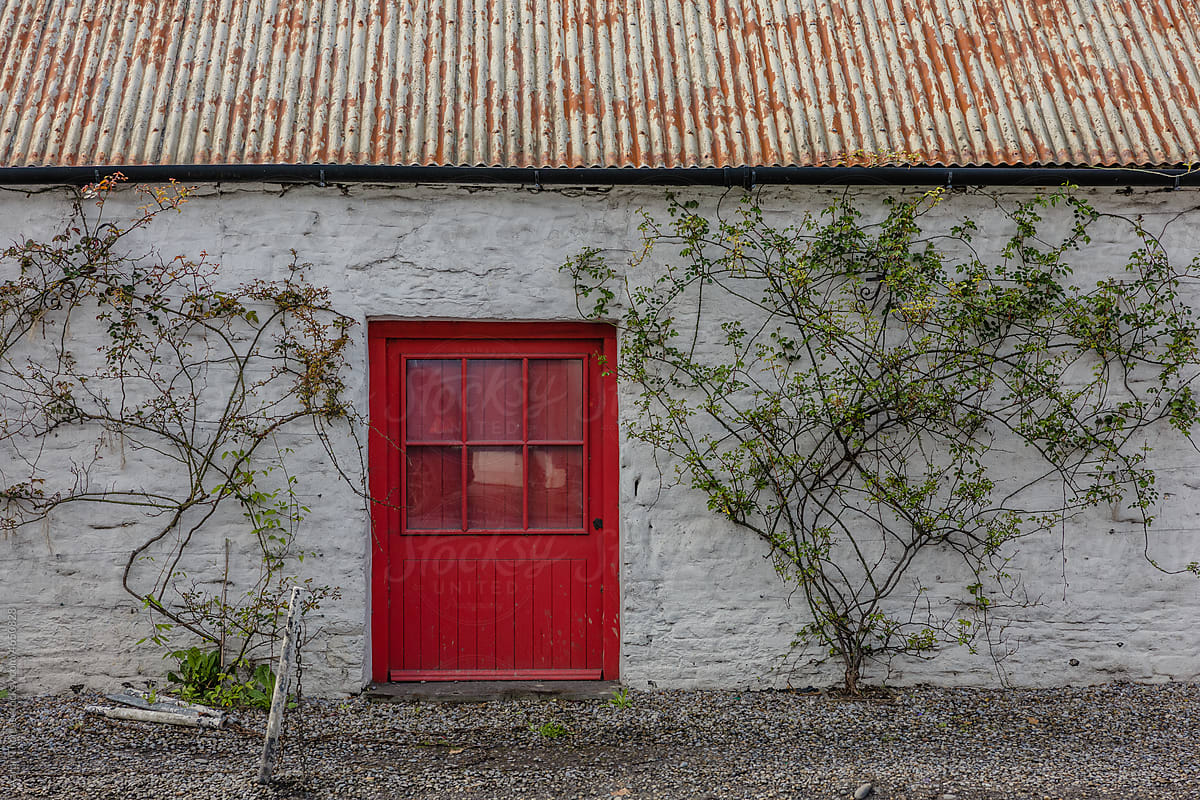 Red door in rural Ireland
