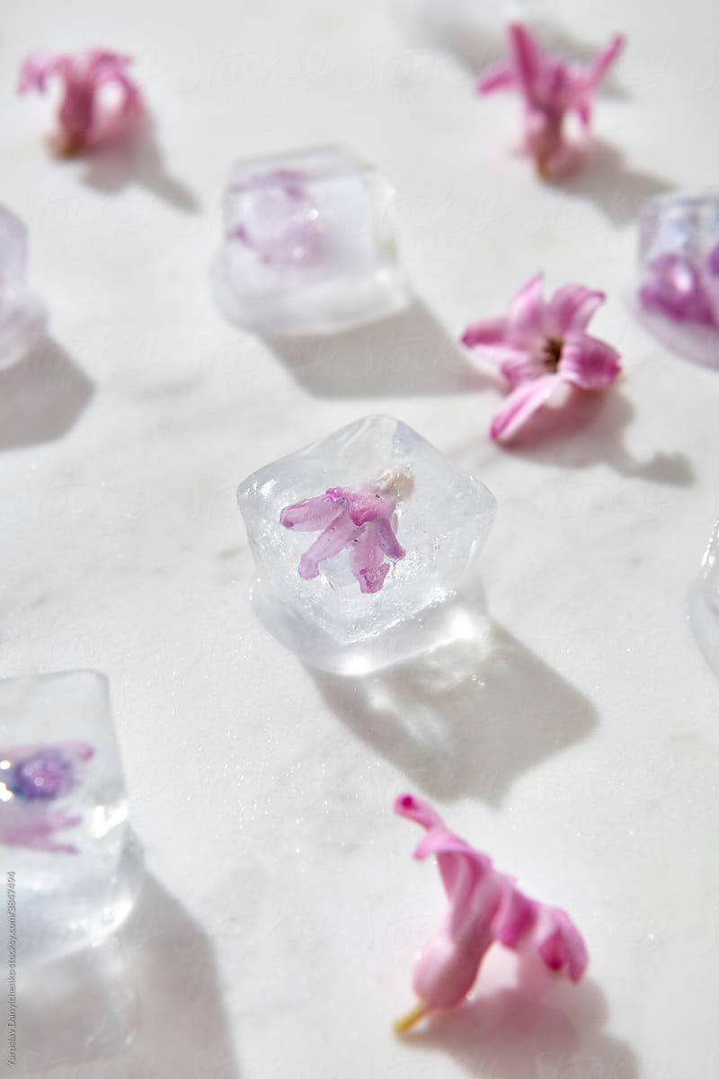 Closeup of ice cubes with small flowers