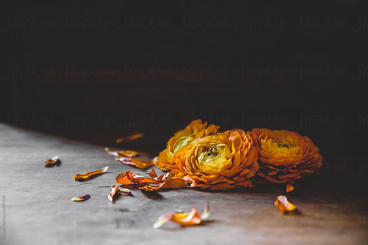 Dropped flowers on floor