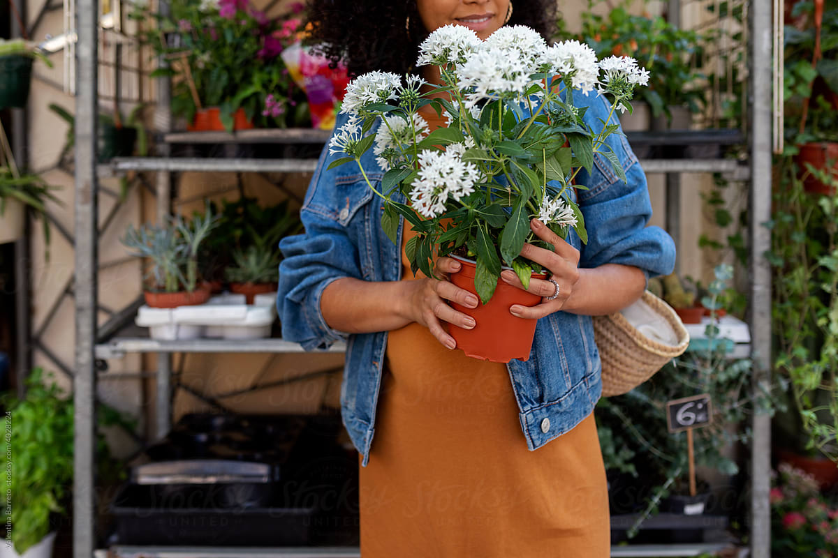 Woman holding a potted plant at flower shop