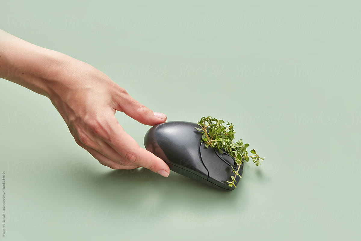 Person touching computer mouse with plant