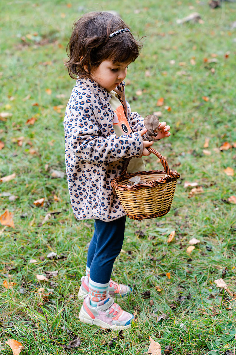 Girl in autumn picking mushrooms