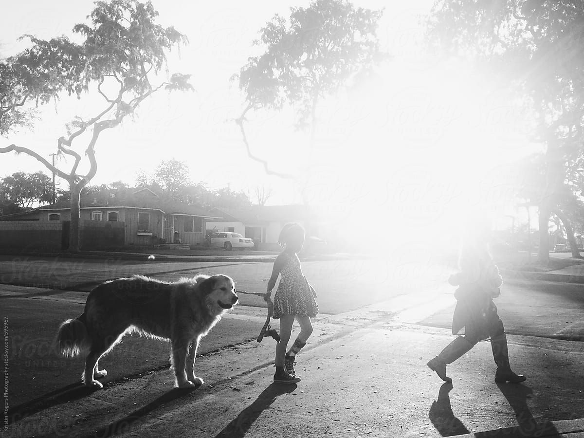 Children walking a dog in sun light
