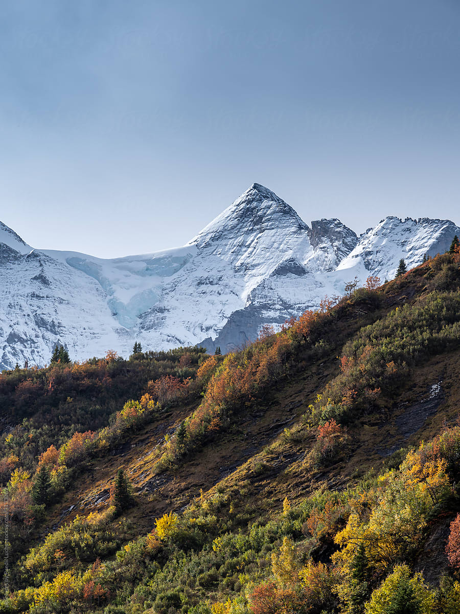 Steep snow covered mountain peak in front of colorful autumn woods