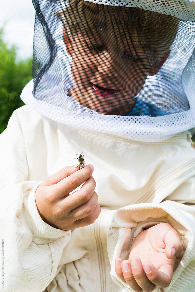 Little boy with a bee in his hand