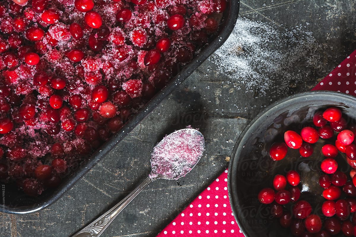 Food: Christmas cake with sparkling cranberries