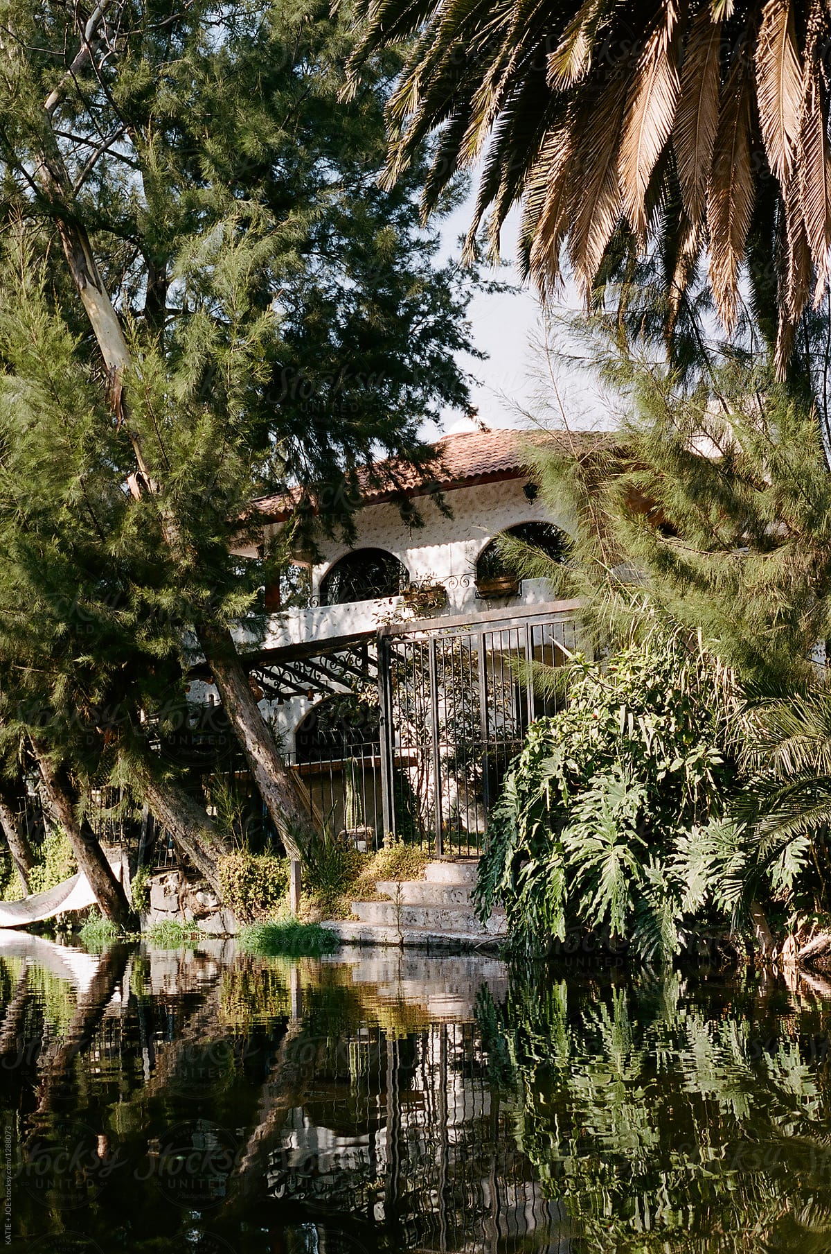 House hidden and shaded by tropical trees on a river