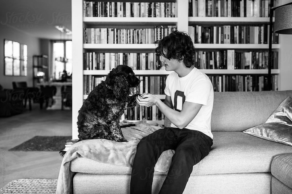 Cocker spaniel dog giving teenage boy his paw on the couch at home