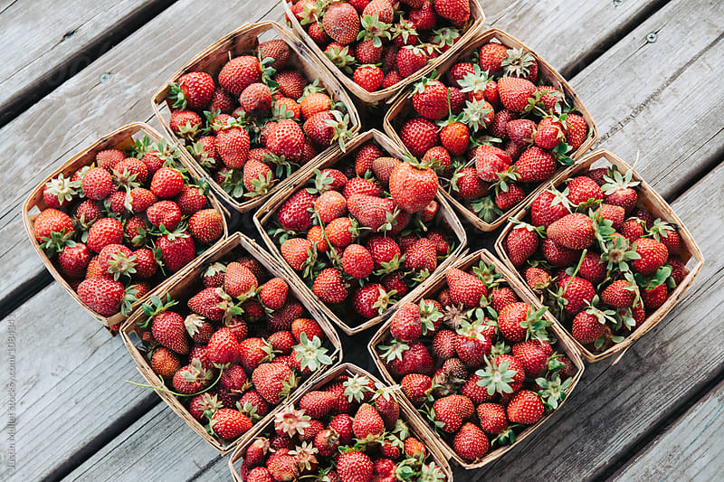 Fresh picked strawberries in garden boxes.